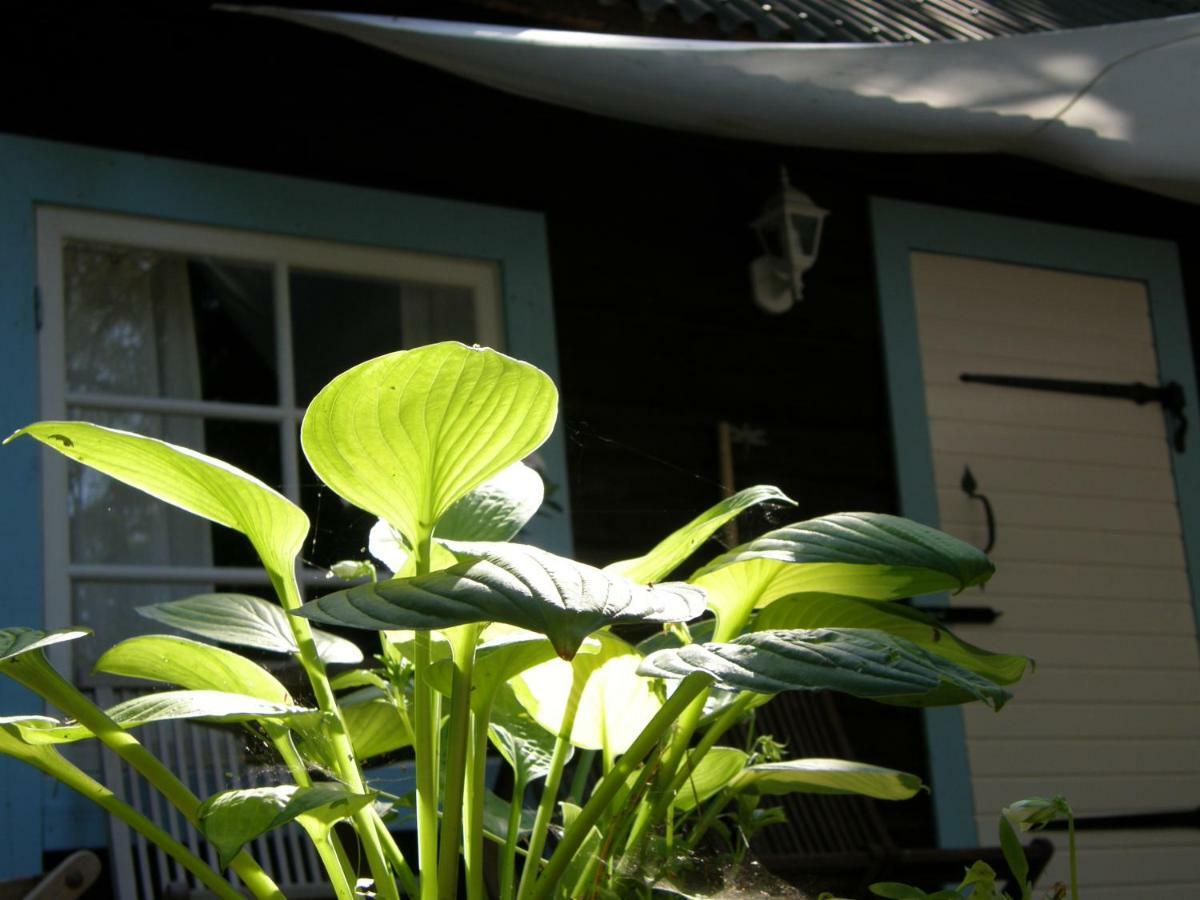 Ranna Villa Farm Kudema Ngoại thất bức ảnh