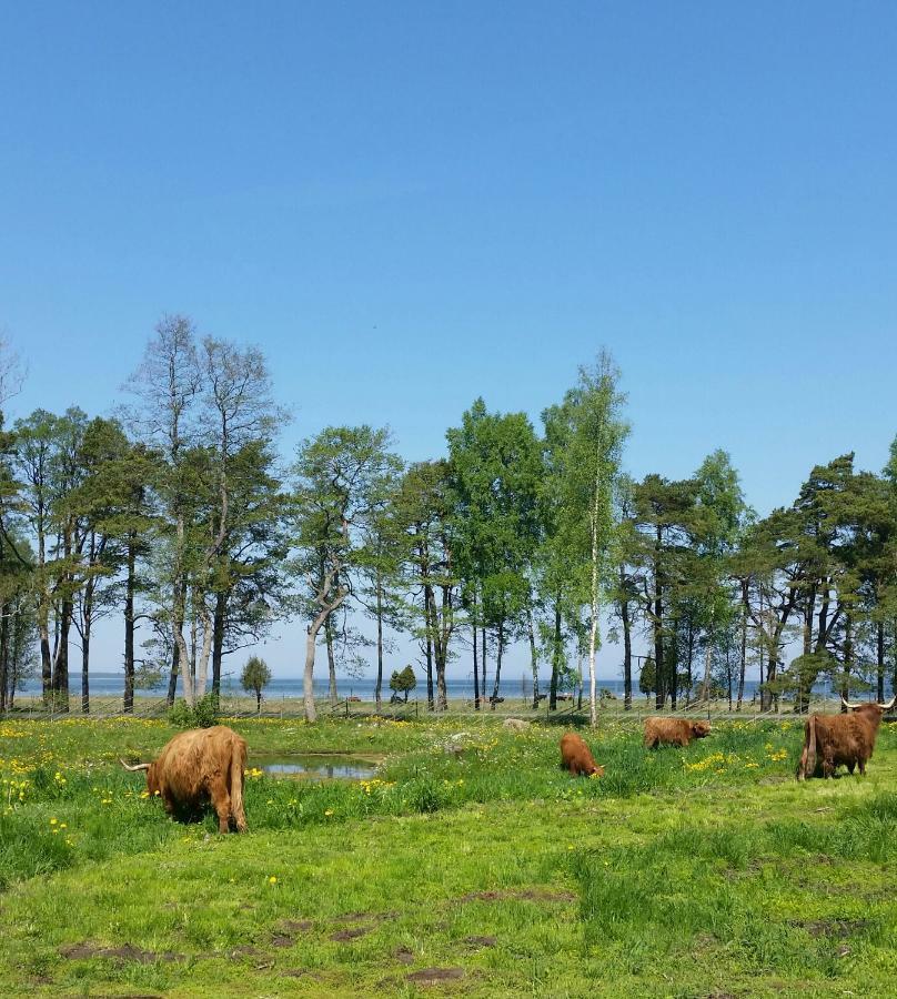 Ranna Villa Farm Kudema Ngoại thất bức ảnh